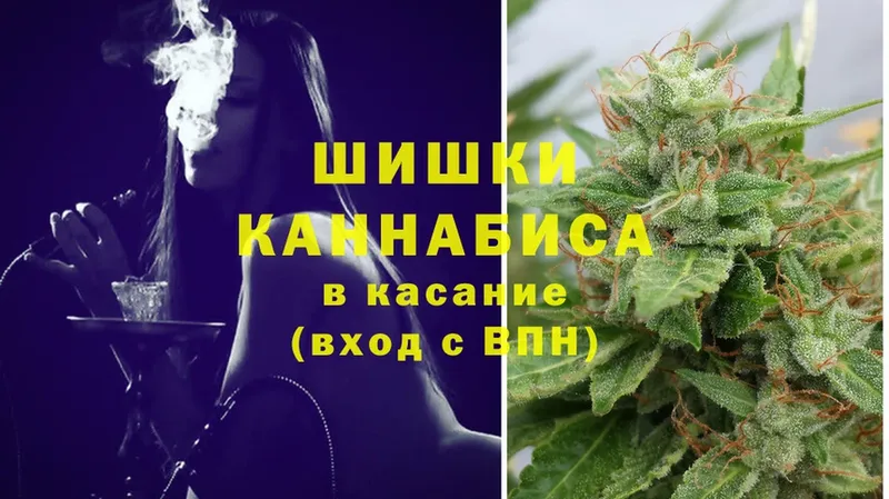 Конопля SATIVA & INDICA  наркотики  Каменка 